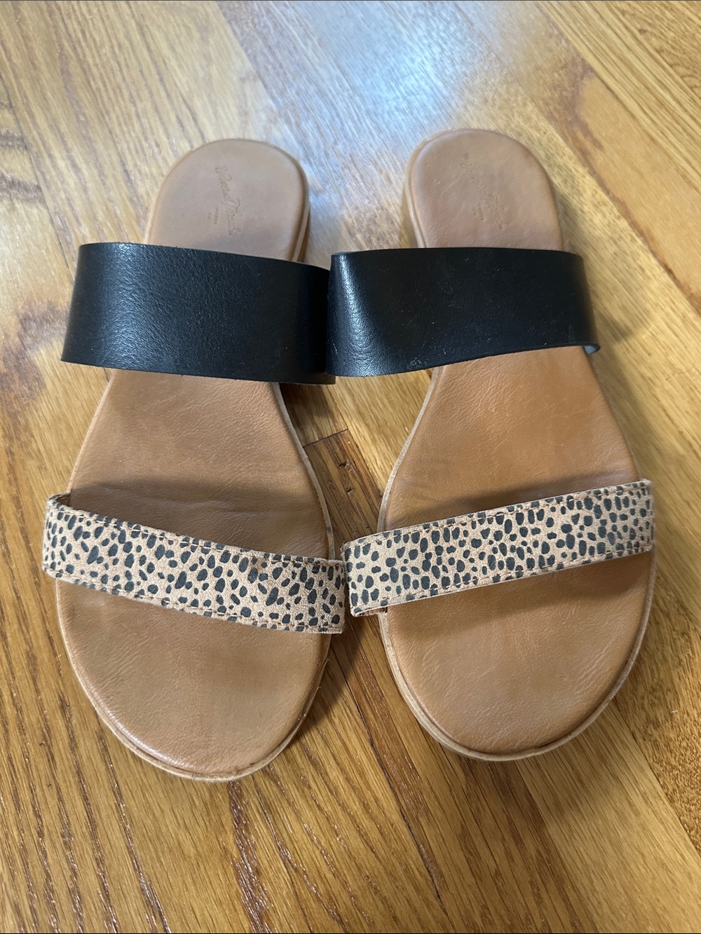 Women's Two-Band Slide Sandals in Black and Leopard